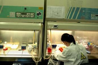 Staminali, un'iniezione può riparare i danni dell'ictus Staminali, un'iniezione può riparare i danni dell'ictus