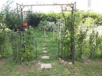 Verde in città, aumentano gli orti urbani e gli alberi Verde in città, aumentano gli orti urbani e gli alberi