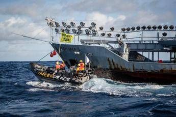 Stop alla pesca distruttiva, nuova azione di Greenpeace contro Thai Union Stop alla pesca distruttiva, nuova azione di Greenpeace contro Thai Union