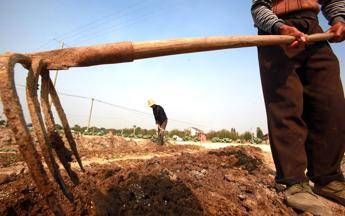 Risultati immagini per Buone pratiche agricole