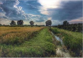 #Agricolturamodomio, 1500 foto raccontano l'Italia al lavoro nei campi #Agricolturamodomio, 1500 foto raccontano l'Italia al lavoro nei campi