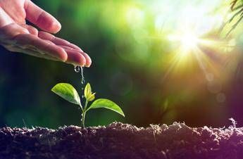 Coltiviamo Co2, dalla Cop22 il messaggio degli agricoltori (conservativi) Coltiviamo Co2, dalla Cop22 il messaggio degli agricoltori (conservativi)