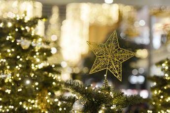 Dalle luminarie salva-clima alle ricette del riciclo, le 10 regole del Wwf per un 'verde' Natale Dalle luminarie salva-clima alle ricette del riciclo, le 10 regole del Wwf per un 'verde' Natale
