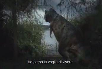 Il ritorno alla vita del T. Rex depresso, spopola sul web il nuovo spot Audi /Video Il ritorno alla vita del T. Rex depresso, spopola sul web il nuovo spot Audi /Video