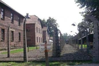 Shoah, negazionismo diventa reato: fino a 6 anni di carcere Shoah, negazionismo diventa reato: fino a 6 anni di carcere