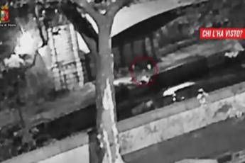 Delitto sul Tevere, il video della caduta di Beau Solomon Delitto sul Tevere, il video della caduta di Beau Solomon