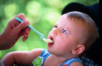 Sempre più famiglie 'veg', ecco la guida per baby diete sicure Sempre più famiglie 'veg', ecco la guida per baby diete sicure