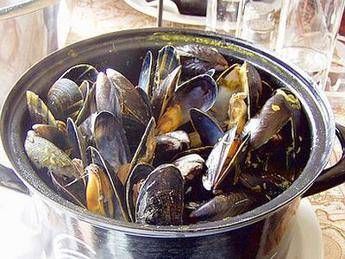 Mipaaf, molluschicoltura principale produzione ittica italiana Mipaaf, molluschicoltura principale produzione ittica italiana