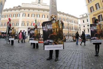 Cammelli, tigri, giraffe. Ancora migliaia di animali nei circhi italiani Cammelli, tigri, giraffe. Ancora migliaia di animali nei circhi italiani