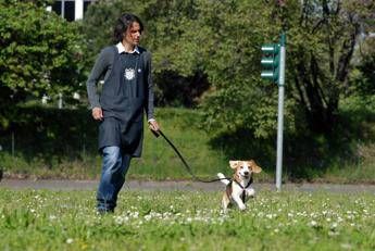 Vacanze per tutti con il dog sitter a misura di app Vacanze per tutti con il dog sitter a misura di app