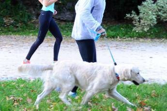 Col cane si perde peso, 5 consigli per tornare in forma con Fido Col cane si perde peso, 5 consigli per tornare in forma con Fido