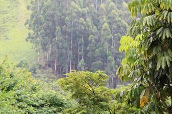 La sfida del clima e della sostenibilità: i benefici del settore agroforestale La sfida del clima e della sostenibilità: i benefici del settore agroforestale