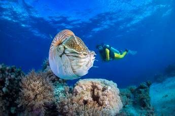Clima, Parigi chiama Roma. Accordo italo-francese per studiare gli oceani Clima, Parigi chiama Roma. Accordo italo-francese per studiare gli oceani