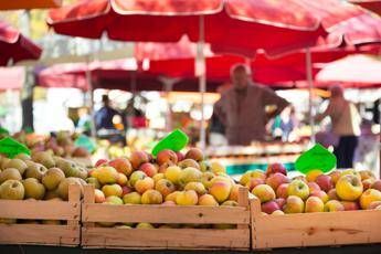 Galletti: Ampliare l'utilizzo bioplastiche anche in altri settori come l'ortofrutta Galletti: Ampliare l'utilizzo bioplastiche anche in altri settori come l'ortofrutta