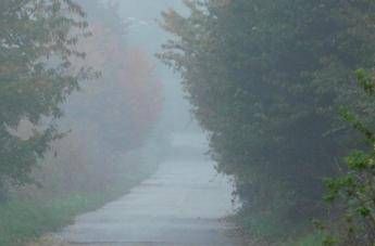 Il Sole c'è ma non si vede: le previsioni per il weekend Il Sole c'è ma non si vede: le previsioni per il weekend