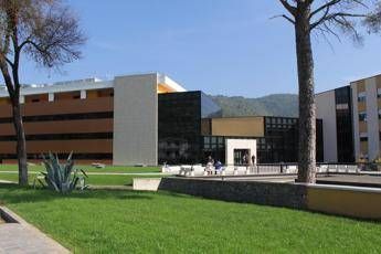 Epilessia, Neuromed scende in campo contro il pregiudizio Epilessia, Neuromed scende in campo contro il pregiudizio