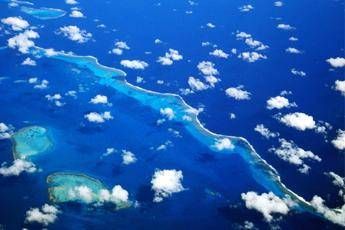 In Nuova Zelanda uno dei più grandi santuari oceanici del mondo In Nuova Zelanda uno dei più grandi santuari oceanici del mondo