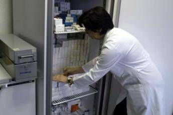 Meningite, a Bari muore bimba di 4 anni: Malattia non in forma batterica Meningite, a Bari muore bimba di 4 anni: Malattia non in forma batterica