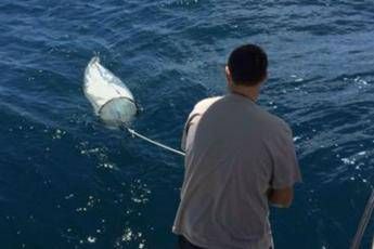 Sacchetti di plastica, ecco le 8 principali criticità Sacchetti di plastica, ecco le 8 principali criticità