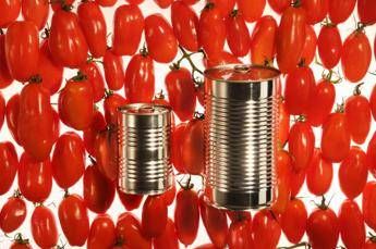 Il pomodoro fa bene al made in italy e all'ambiente Il pomodoro fa bene al made in italy e all'ambiente