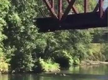 Figlio di 4 anni viene spinto nel fiume, la madre esulta: rischia carcere /Video Figlio di 4 anni viene spinto nel fiume, la madre esulta: rischia carcere /Video