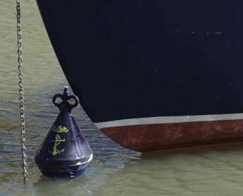 Napoli, skipper tenta estorsione: due turisti Usa costretti a tornare a nuoto a riva Napoli, skipper tenta estorsione: due turisti Usa costretti a tornare a nuoto a riva