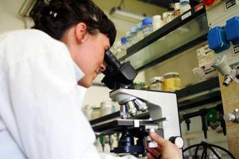 L'esperto, in Italia pochi centri specializzati per la cura delle neuropatie L'esperto, in Italia pochi centri specializzati per la cura delle neuropatie