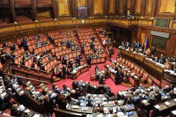Arrivano 60milioni per chi assiste familiare malato Arrivano 60milioni per chi assiste familiare malato