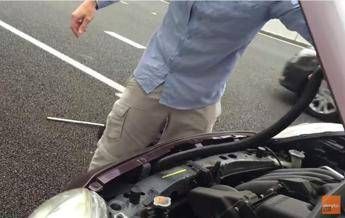Aiuto, c'è un serpente velenoso nel motore! /Video Aiuto, c'è un serpente velenoso nel motore! /Video