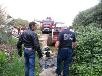 Vigili sgomberano campo abusivo alla Magliana, distrutte 16 baracche Vigili sgomberano campo abusivo alla Magliana, distrutte 16 baracche