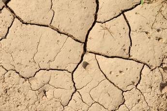 Terreni coltivabili, negli ultimi 40 anni è diventato improduttivo il 30% Terreni coltivabili, negli ultimi 40 anni è diventato improduttivo il 30%