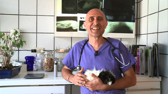 'Il veterinario risponde': aria condizionata e riscaldamento fanno male agli animali? 'Il veterinario risponde': aria condizionata e riscaldamento fanno male agli animali?
