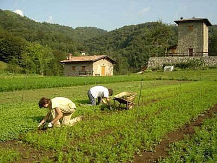 Martina: allargheremo 'black list' per contributi Ue all'agricoltura