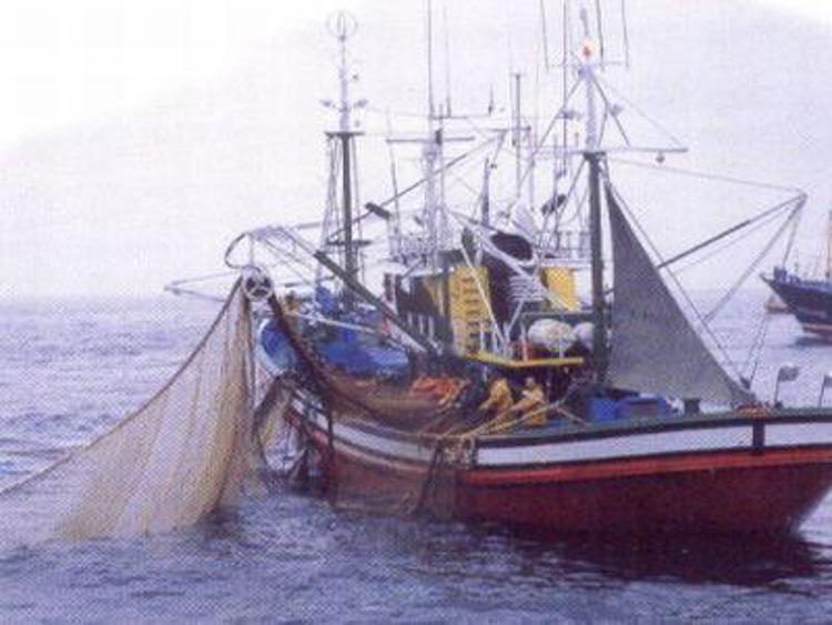 United Nations, Vatican deplore slavery in fishing sector