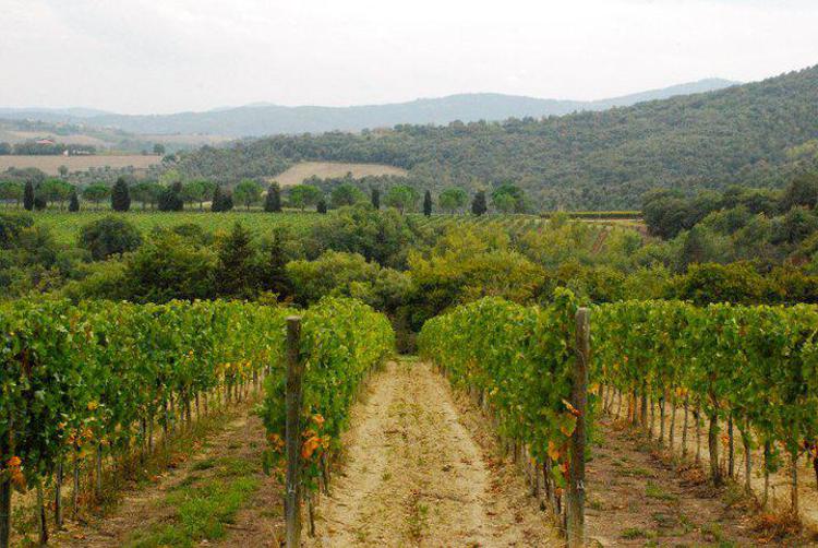 Toscana: Rossi, per Sud regione alleanza tra industria turismo agricoltura