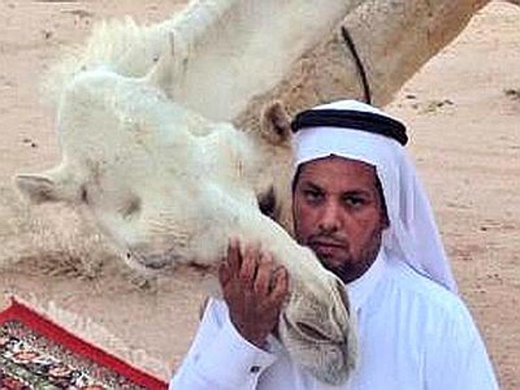 A.Saudita: baci ai cammelli contro allarme Mers, la protesta e' sul Web