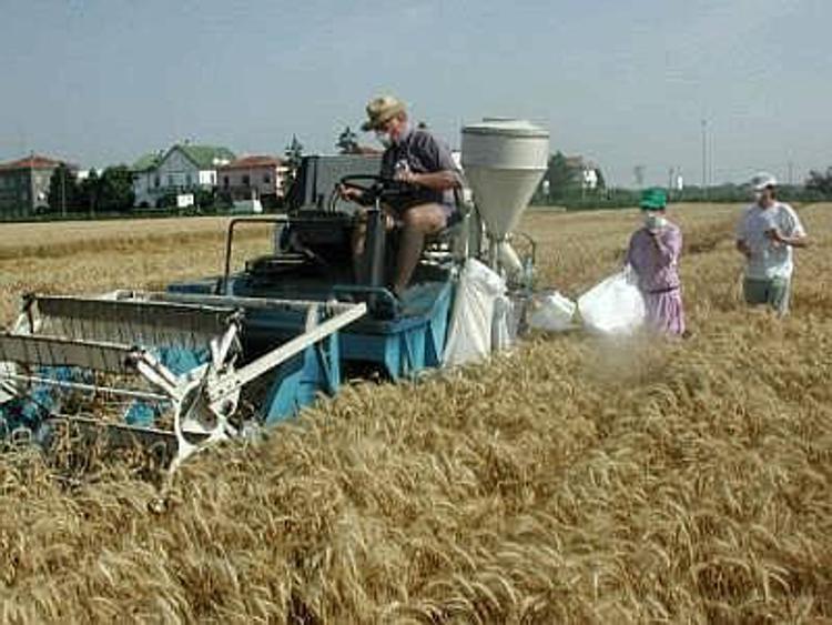 Agricoltura: Regione Lazio, incontrate aziende per linee strategiche psr 2014-2020