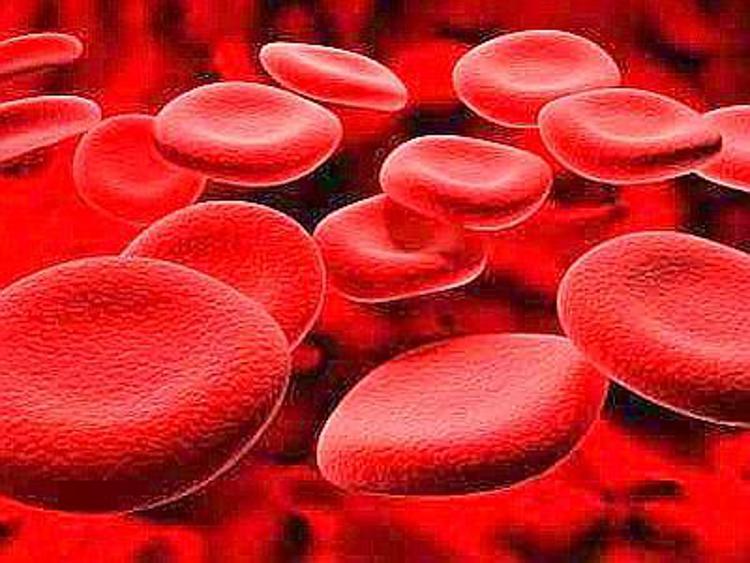 Medicina: esperti, in emofilia obiettivo zero sanguinamenti