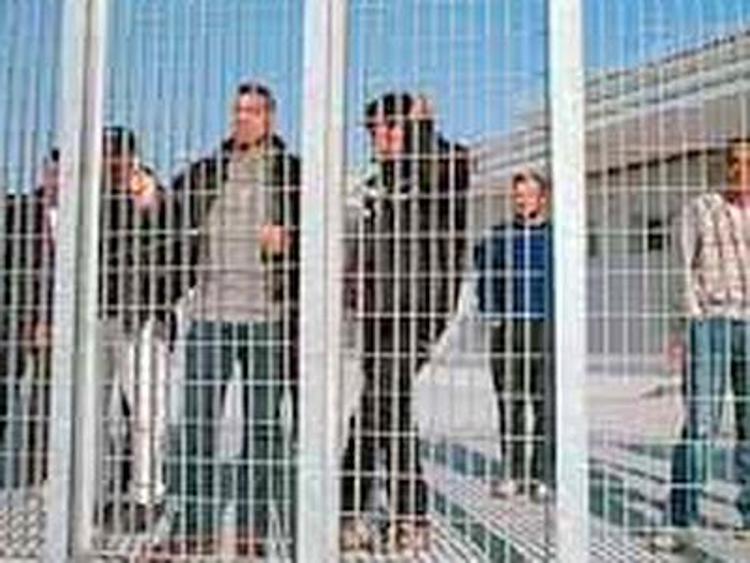 Trieste, 11 immigrati fermati sul Carso: tra loro un minore
