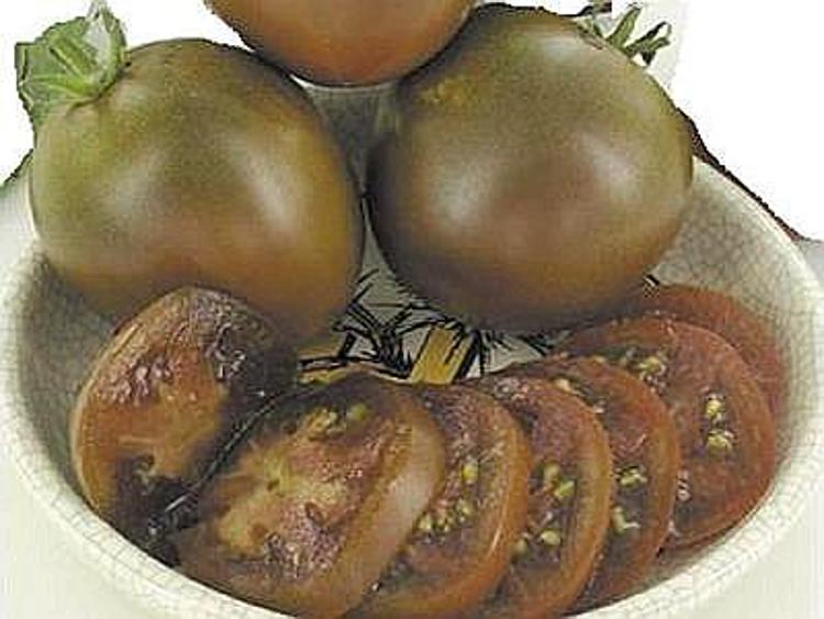 Alimenti: arriva il 'SunBlack', pomodoro nero ricco di antiossidanti