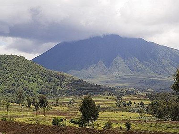 Allarme esplorazioni petrolifere nel Virunga