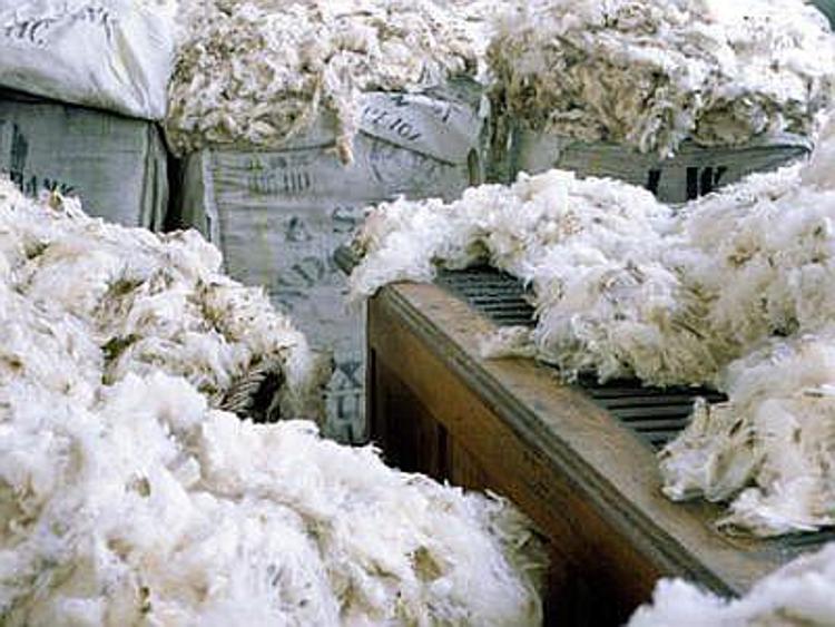Dalla lana sucida italiana un fatturato potenziale di 450 milioni di euro