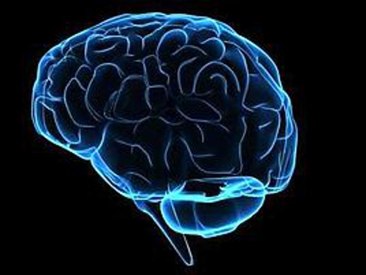 Cervello 'tesoro' da 1,4 kg, va difeso con no alcol e prevenzione