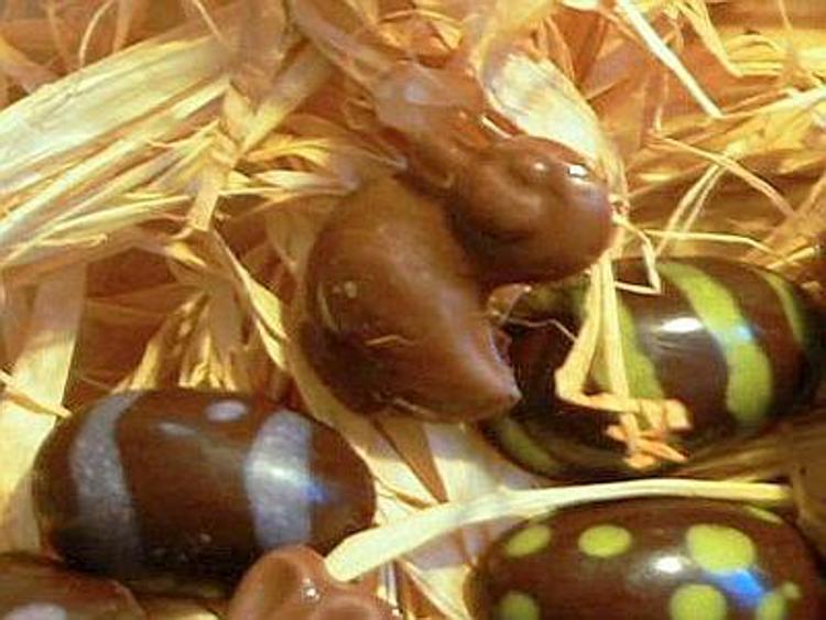 Pasqua: il pediatra, si' a uovo di cioccolata no a compiti per le vacanze
