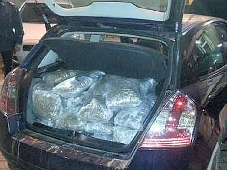 Brindisi, Carabinieri sequestrano 120 chili di marijuana