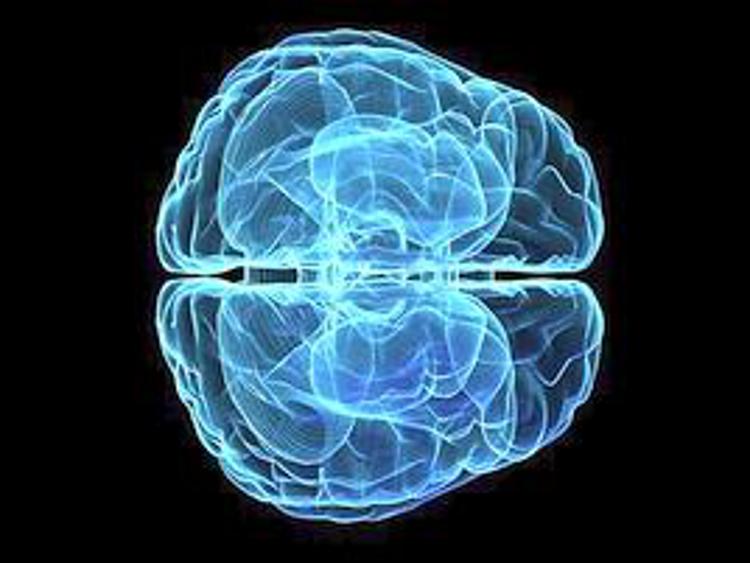 Funziona 'allenamento cervello' per combattere Alzheimer
