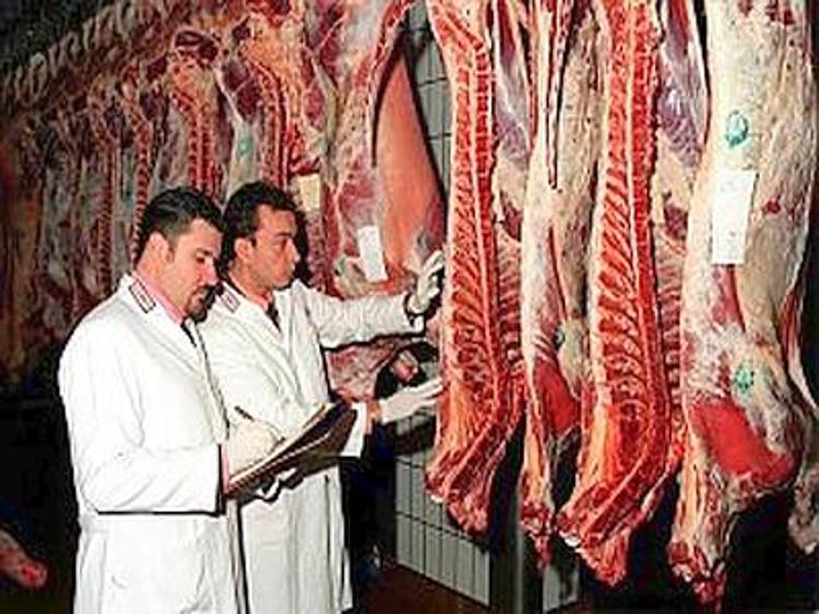 Varese, macellazione illegale carni: Nas Milano sequestra azienda
