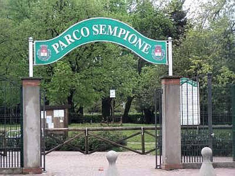 Milano, decine di cani morti avvelenati al parco Sempione