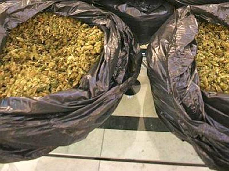 Arrestato con 260 kg di marijuana a Catania, il padre sbancò lotteria