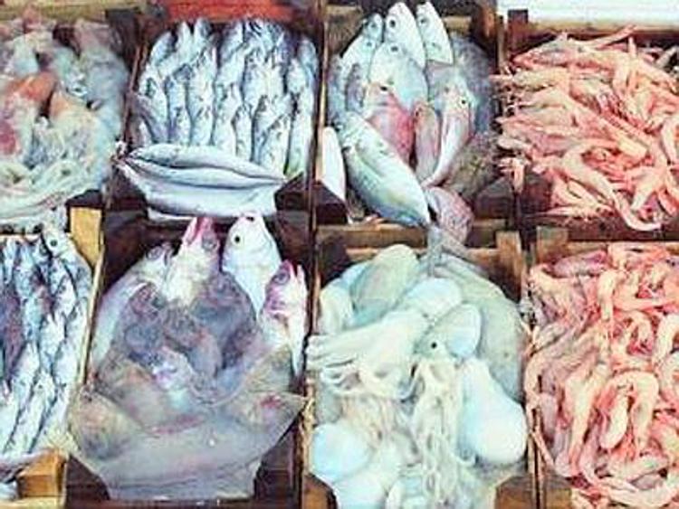 Arezzo, sequestrate 30 tonnellate di pesce pericoloso per la salute